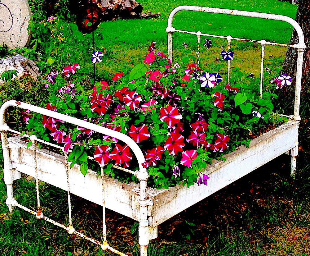 FLOWER BED IN BED IMAGE BY DOUGLAS POOR