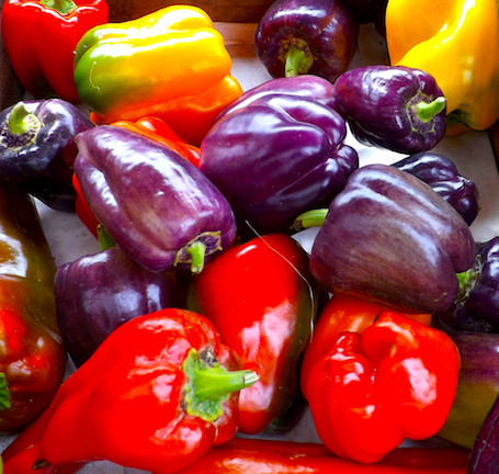 MULTI COLORED PEPPERS PICTURE BY DOUGLAS POOR dd-TV.com