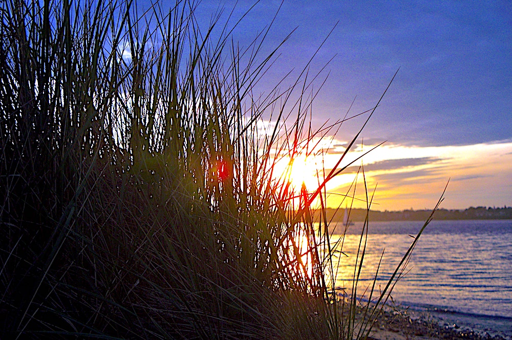 SUNSET THRU BEACH GRASS AND WATER