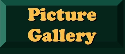 BUTTON PICTURE GALLERY