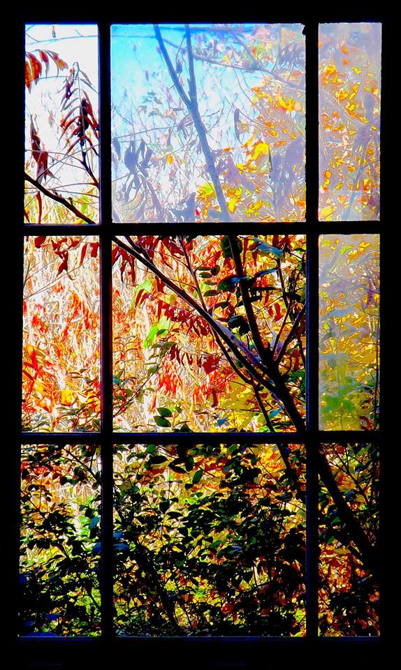 THRU THE WINDOW FOLIAGE PICTURE BY DOUGLAS K. POOR dd-TV.com